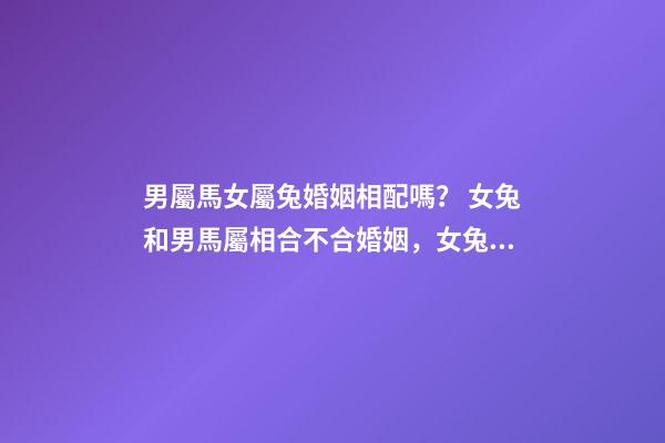 男屬馬女屬兔婚姻相配嗎？ 女兔和男馬屬相合不合婚姻，女兔 和 男馬 合不合？-第1張-觀點-玄機派